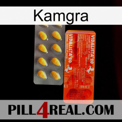 Kamgra new01